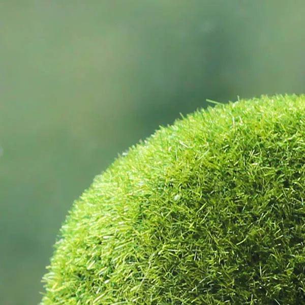 Moss Stones