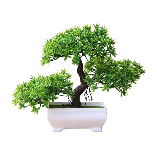 Bonsai